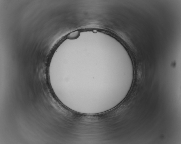 X0000116561356200912311924