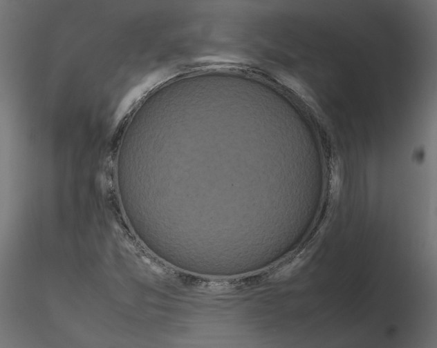 X0000116561357200912311924