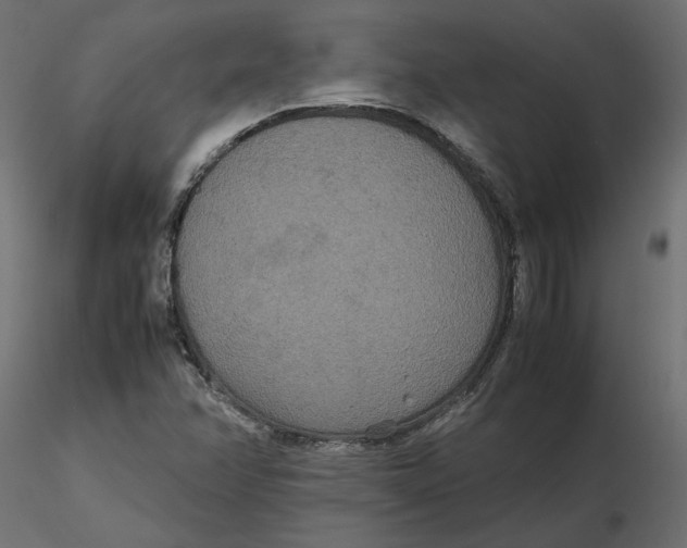 X0000116561358200912311924