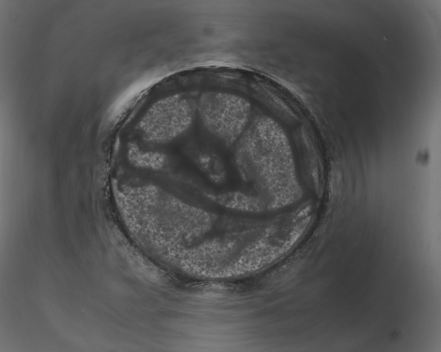 X0000116561359200912311924