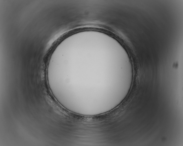 X0000116561360200912311924