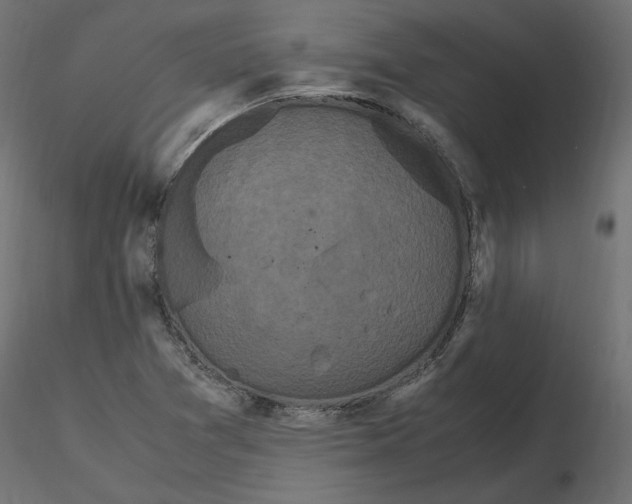 X0000116561361200912311924