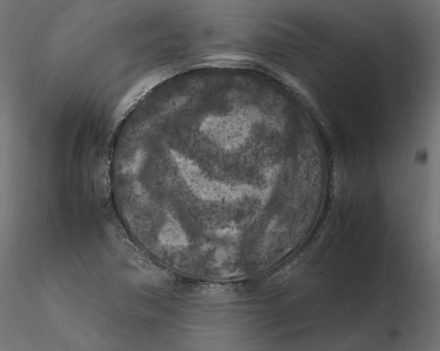 X0000116561362200912311924