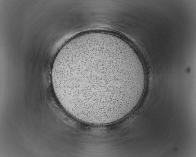 X0000116561363200912311924