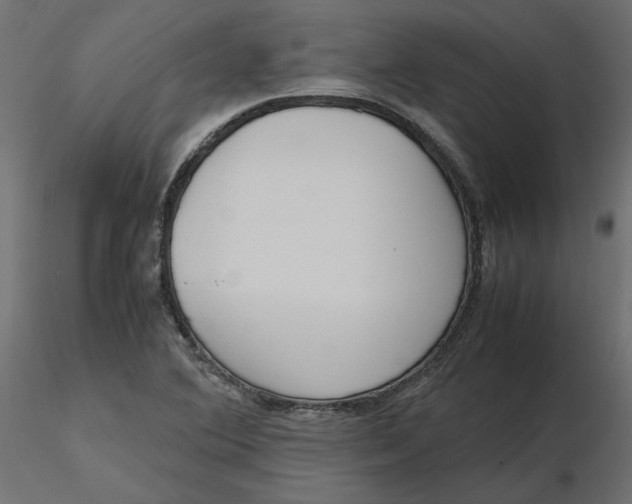 X0000116561364200912311924