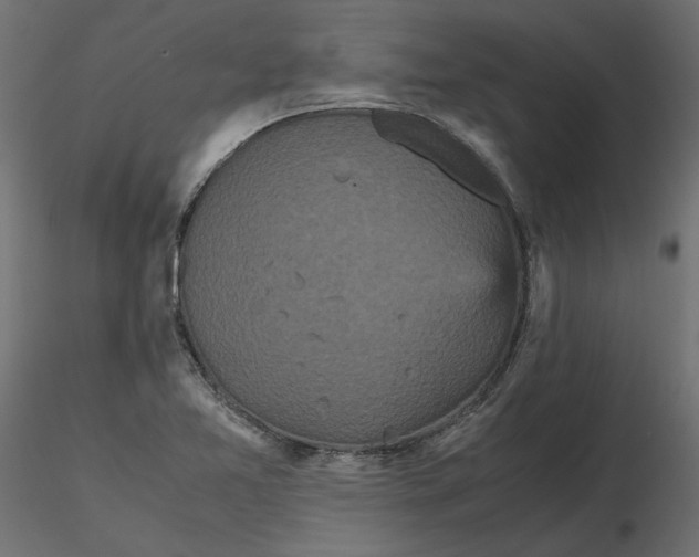 X0000116561365200912311924