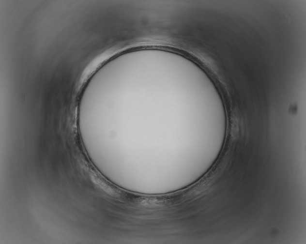 X0000116561366200912311924