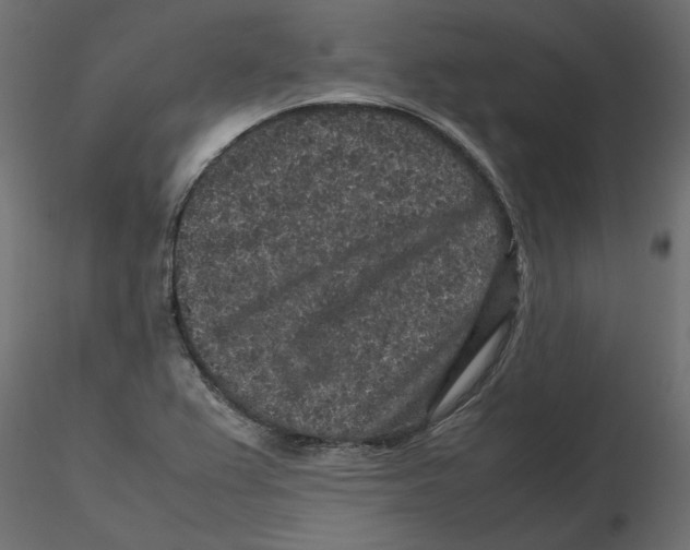 X0000116561367200912311924