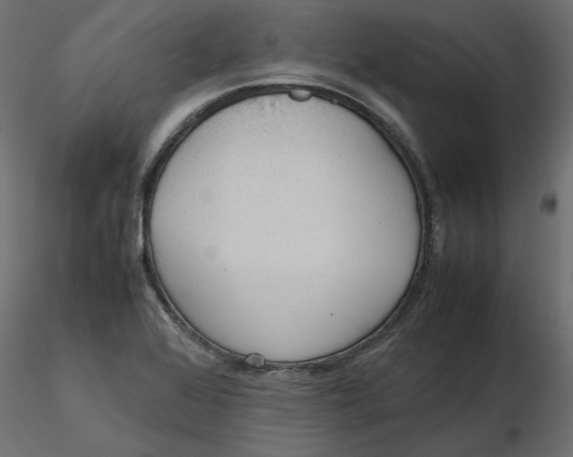 X0000116561368200912311924