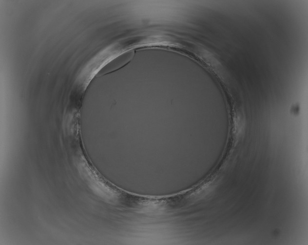 X0000116561369200912311923