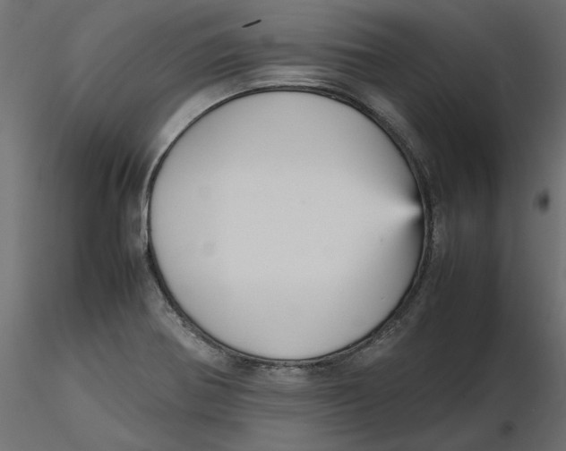 X0000116561370200912311923