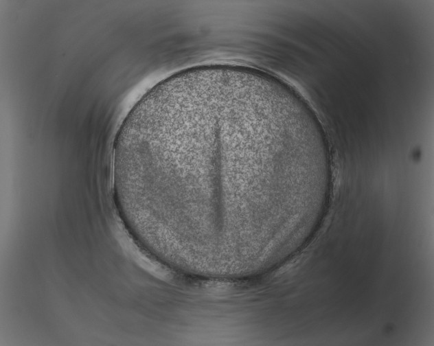 X0000116561371200912311923