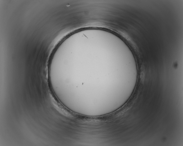 X0000116561372200912311923