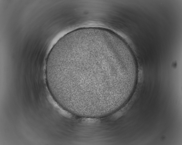 X0000116561374200912311923