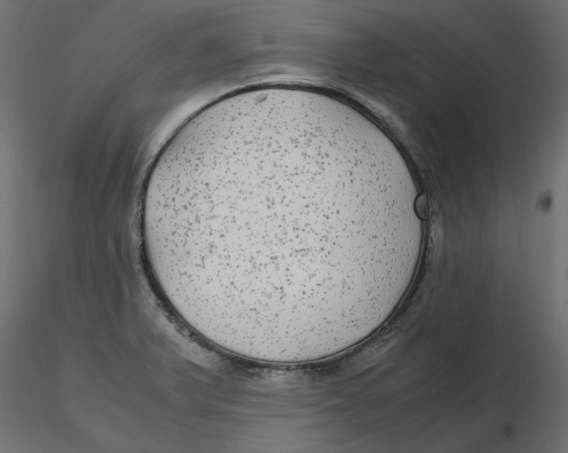 X0000116561375200912311923