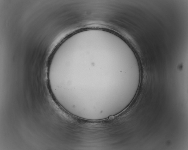 X0000116561376200912311923