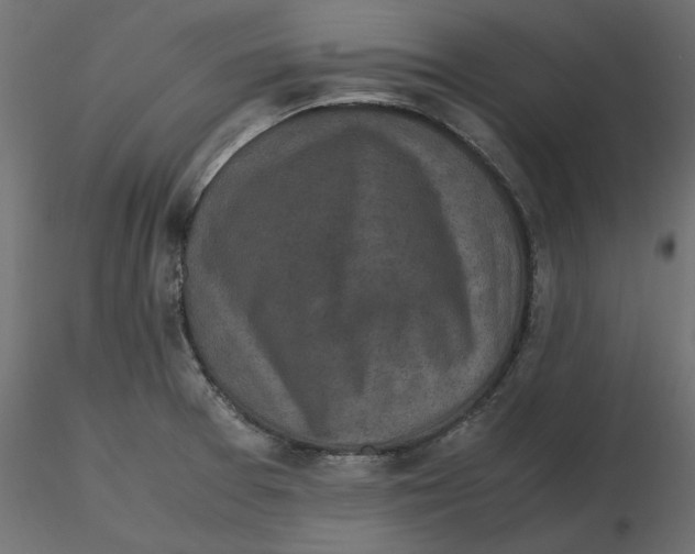 X0000116561377200912311923