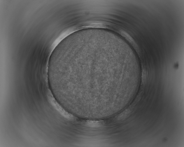 X0000116561378200912311923