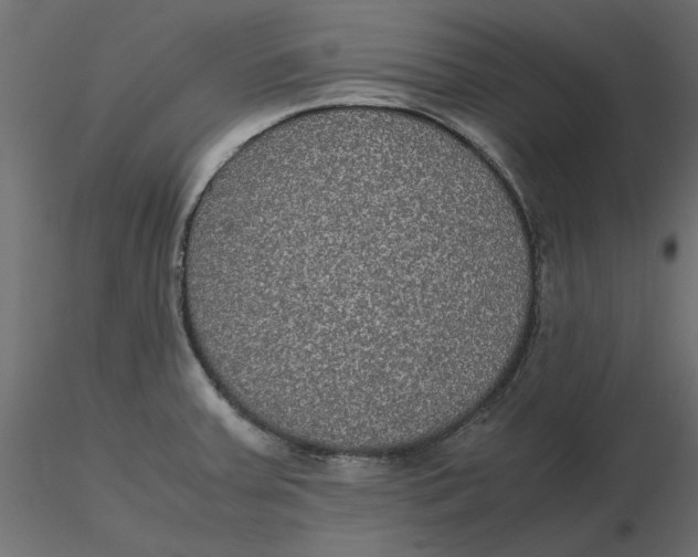 X0000116561379200912311923