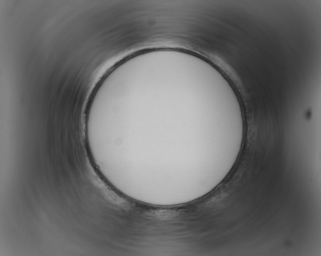 X0000116561380200912311923