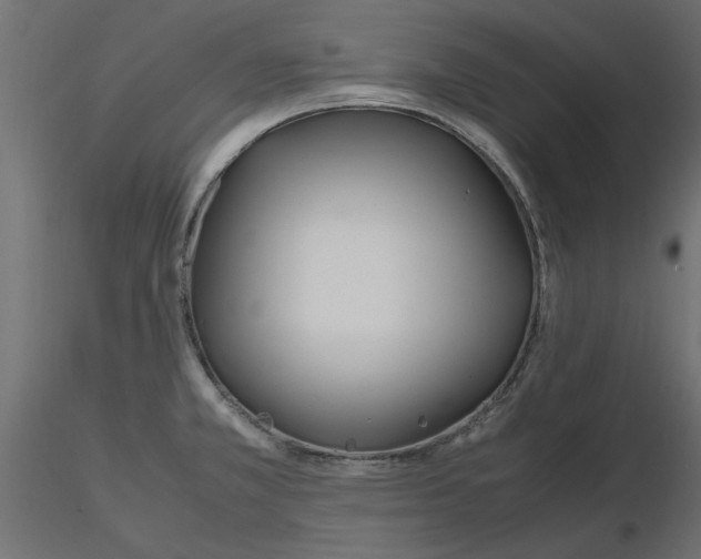 X0000116561381200912311923