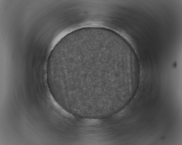 X0000116561382200912311923