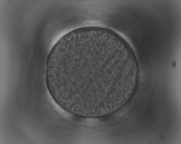 X0000116561383200912311923