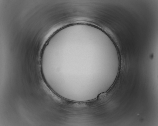 X0000116561384200912311923