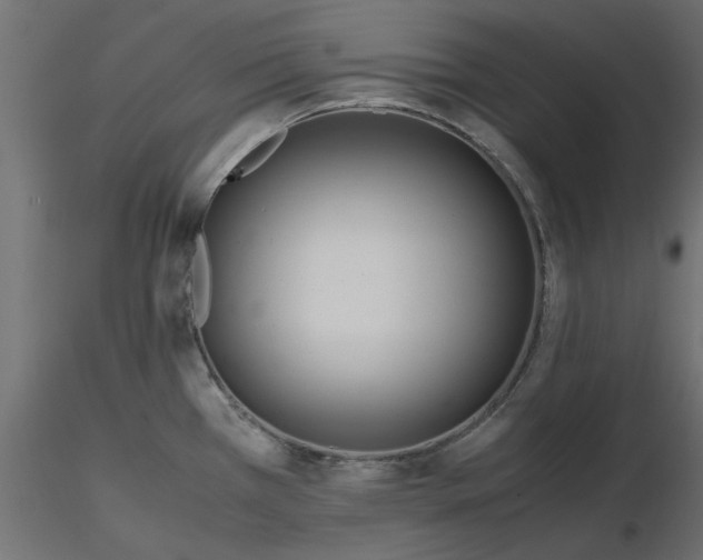 X0000116561385200912311923