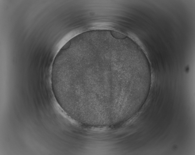 X0000116561386200912311923