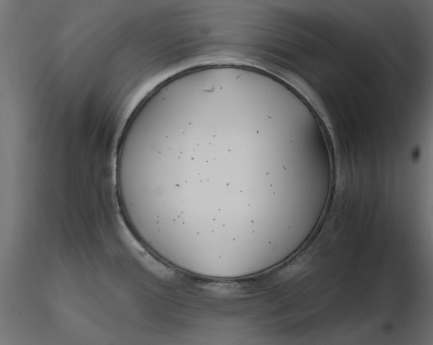 X0000116561388200912311923