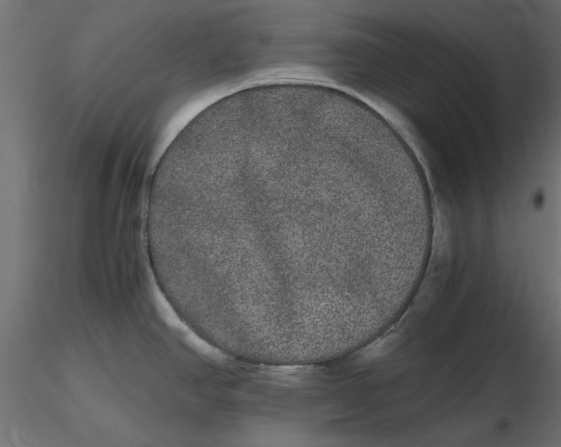 X0000116561390200912311923