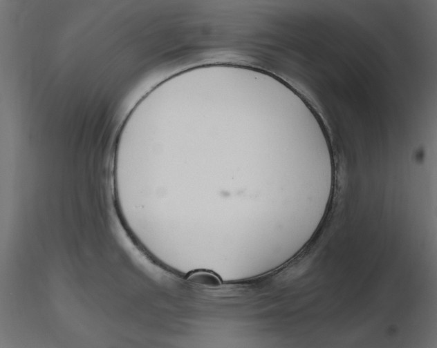 X0000116561391200912311923