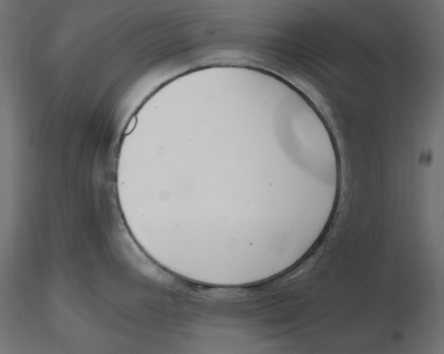 X0000116561392200912311923