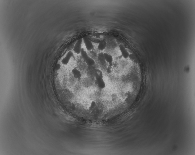 X0000116561393200912311923