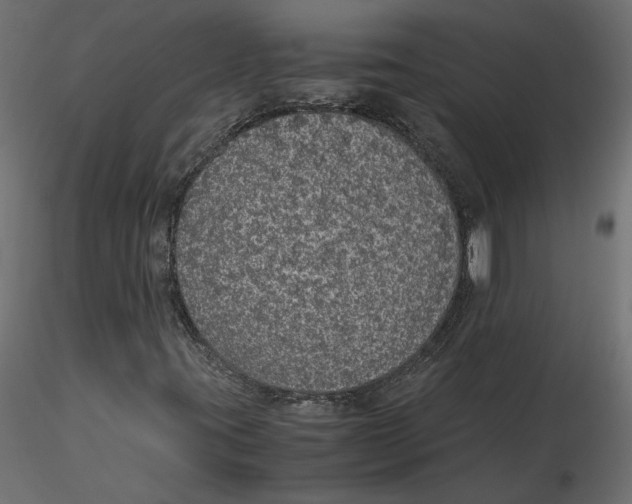 X0000116561395200912311923