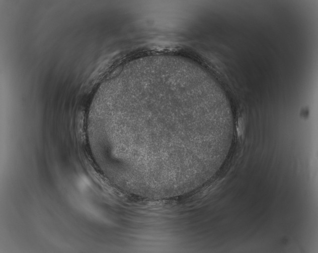 X0000116561396200912311923