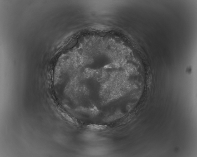 X0000116561397200912311923