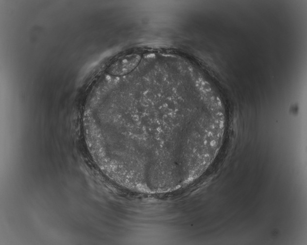 X0000116561398200912311923