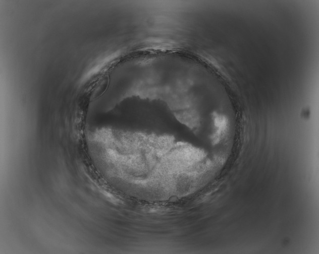 X0000116561399200912311923