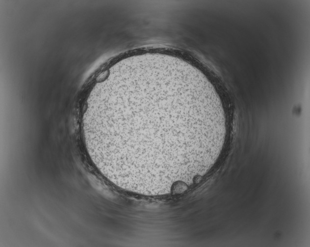 X0000116561400200912311923