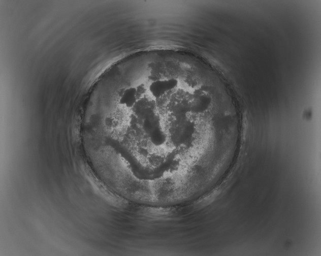 X0000116561401200912311923