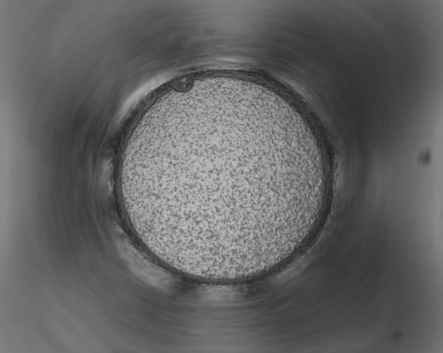 X0000116561402200912311923