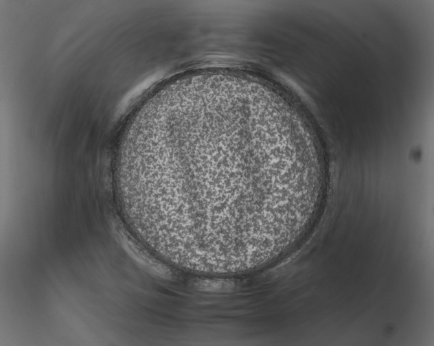 X0000116561403200912311923