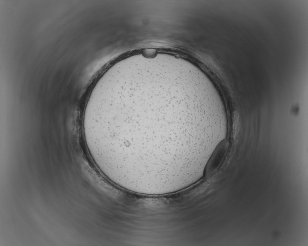 X0000116561404200912311923