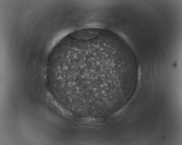 X0000116561405200912311923