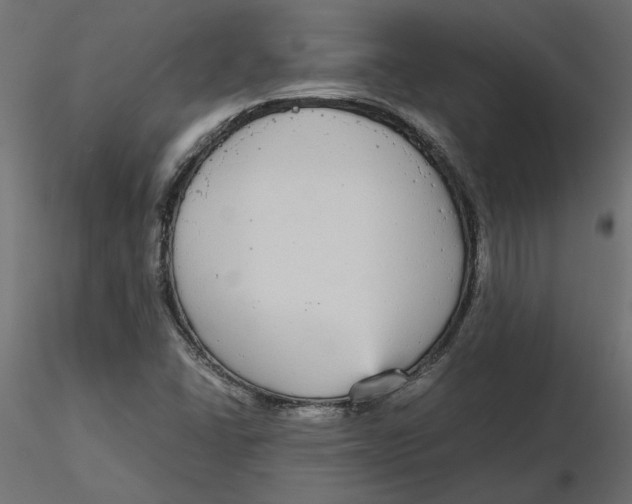 X0000116561406200912311923