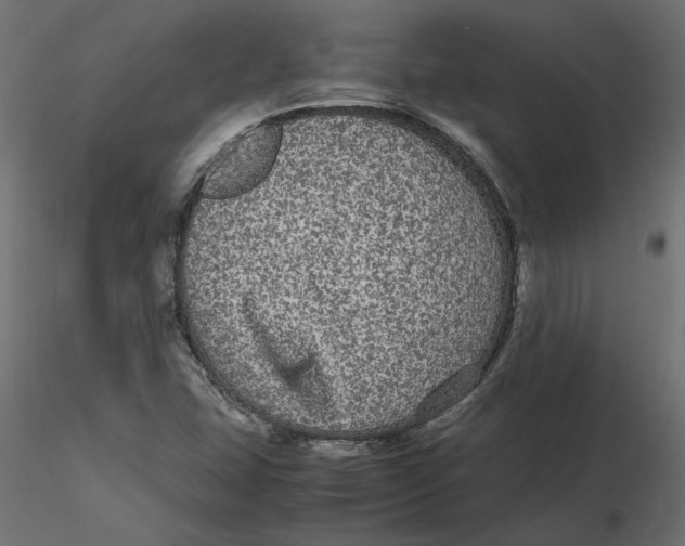 X0000116561407200912311923