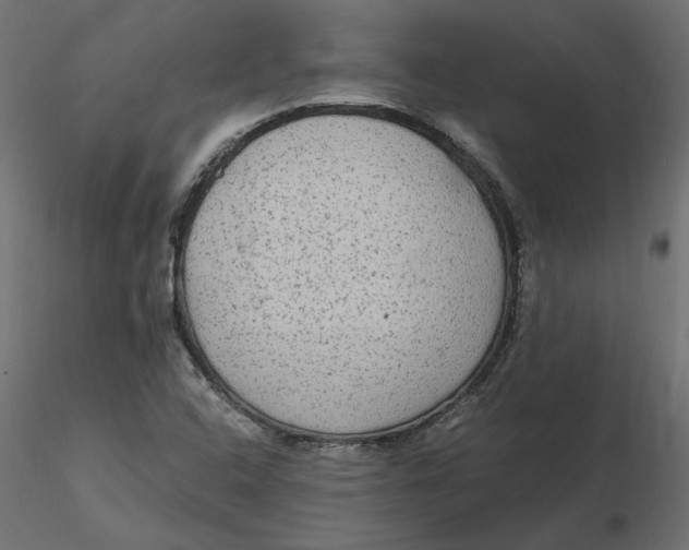 X0000116561408200912311923