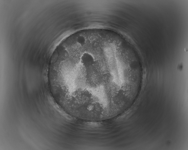 X0000116561409200912311923